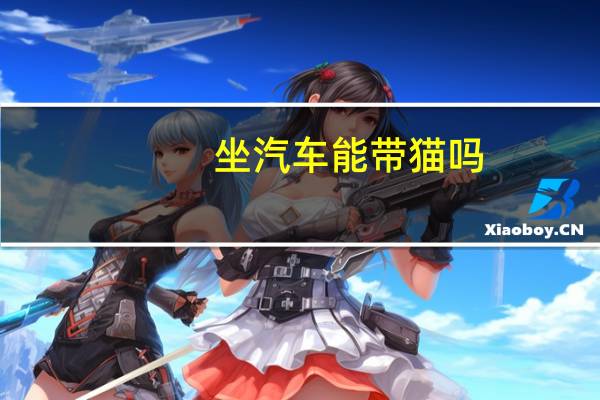 坐汽车能带猫吗