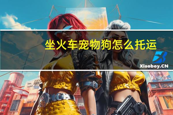 坐火车宠物狗怎么托运
