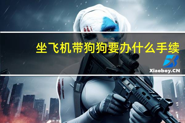 坐飞机带狗狗要办什么手续