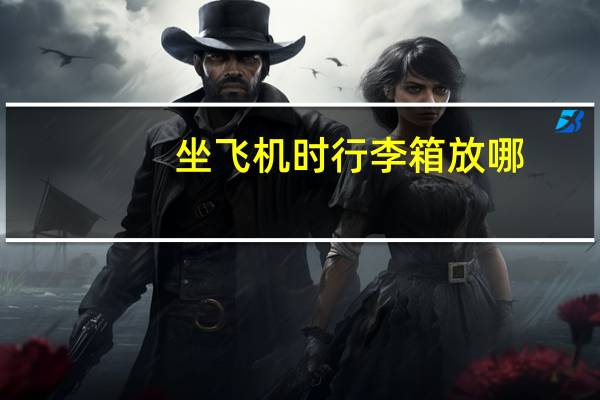 坐飞机时行李箱放哪