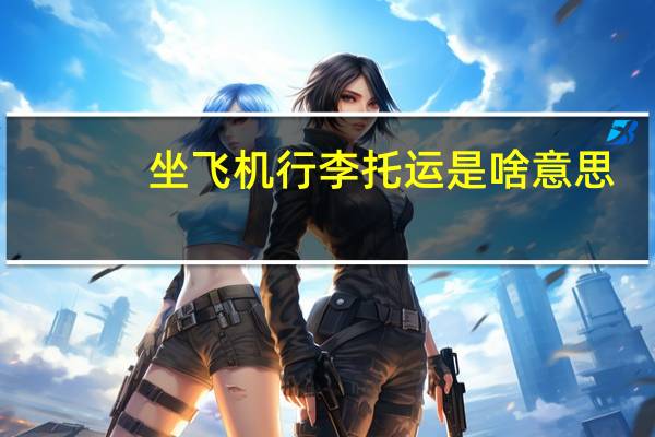 坐飞机行李托运是啥意思