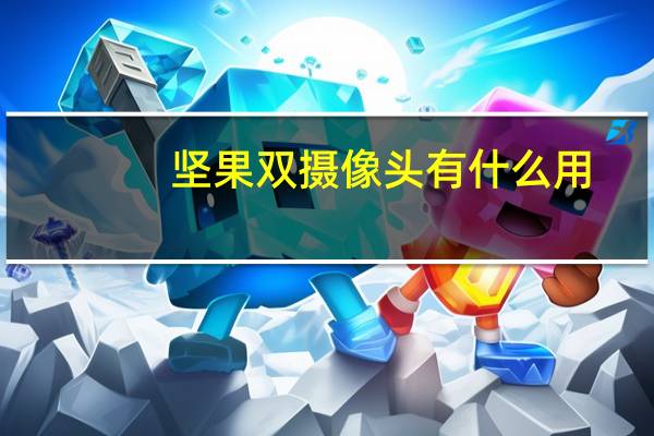 坚果双摄像头有什么用