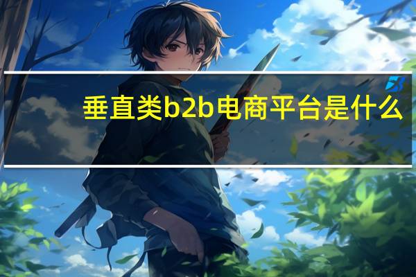 垂直类b2b电商平台是什么