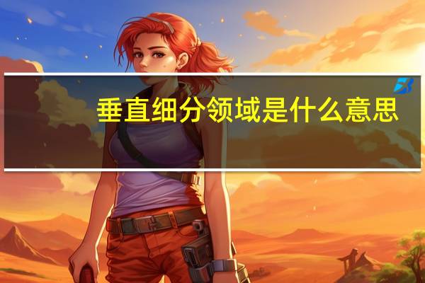 垂直细分领域是什么意思