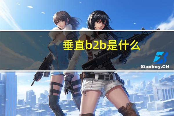 垂直b2b是什么
