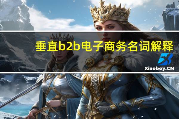 垂直b2b电子商务名词解释