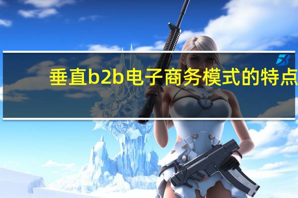 垂直b2b电子商务模式的特点