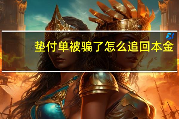 垫付单被骗了怎么追回本金