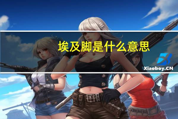 埃及脚是什么意思