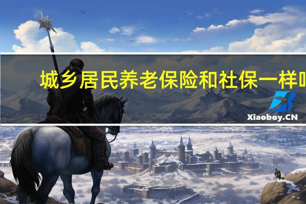 城乡居民养老保险和社保一样吗