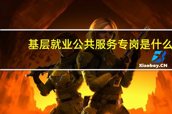 基层就业公共服务专岗是什么