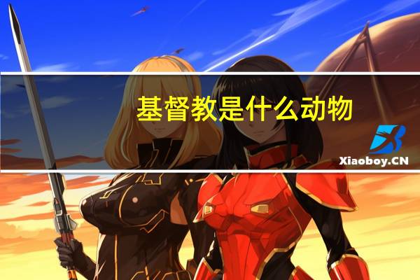 基督教是什么动物