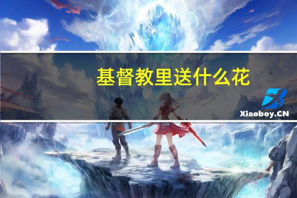 基督教里送什么花