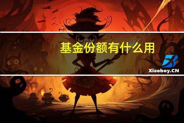 基金份额有什么用