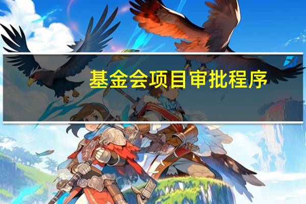 基金会项目审批程序