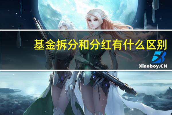 基金拆分和分红有什么区别