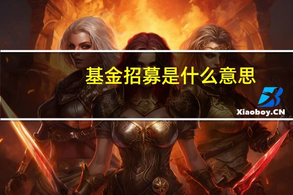 基金招募是什么意思