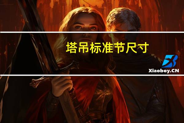 塔吊标准节尺寸