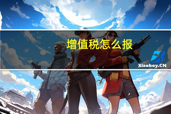 增值税怎么报