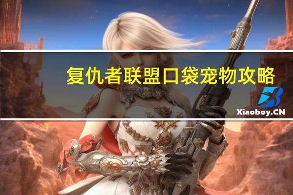 复仇者联盟口袋宠物攻略
