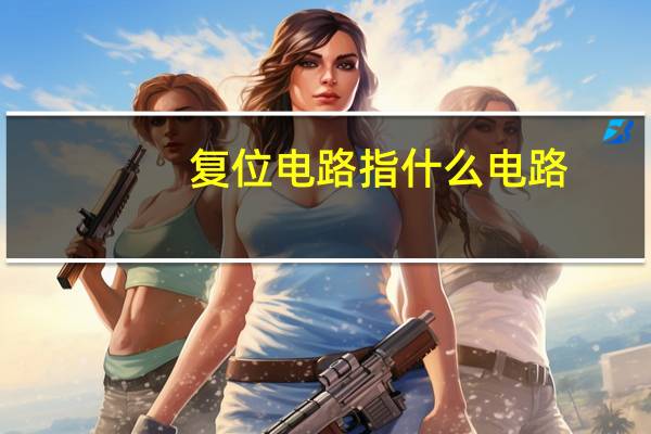 复位电路指什么电路