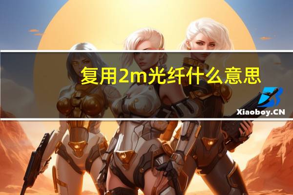 复用2m光纤什么意思