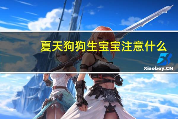 夏天狗狗生宝宝注意什么