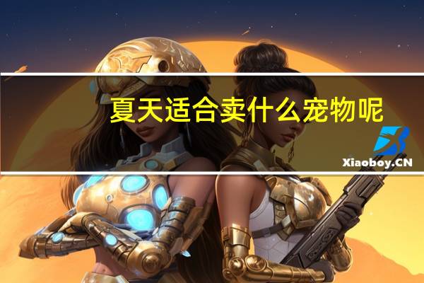 夏天适合卖什么宠物呢