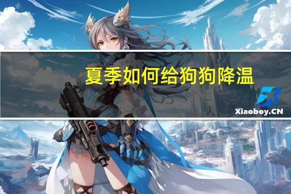 夏季如何给狗狗降温