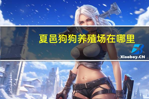夏邑狗狗养殖场在哪里