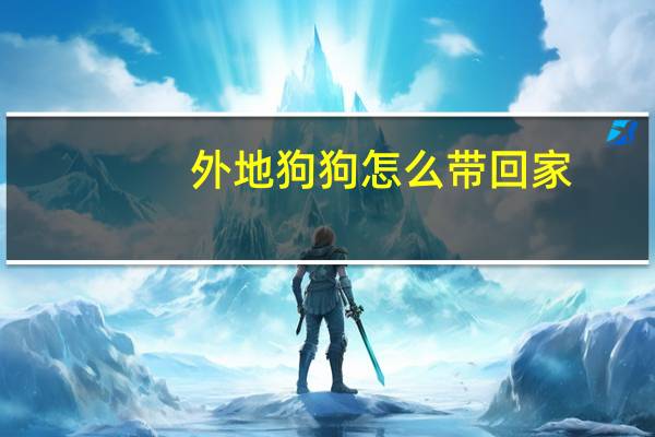 外地狗狗怎么带回家