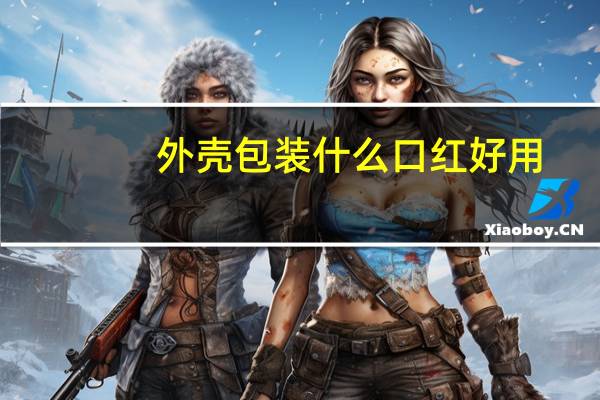 外壳包装什么口红好用