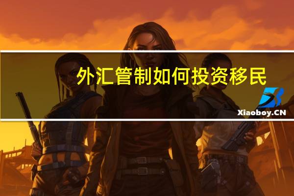 外汇管制如何投资移民