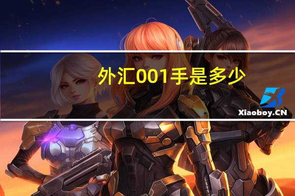 外汇001手是多少