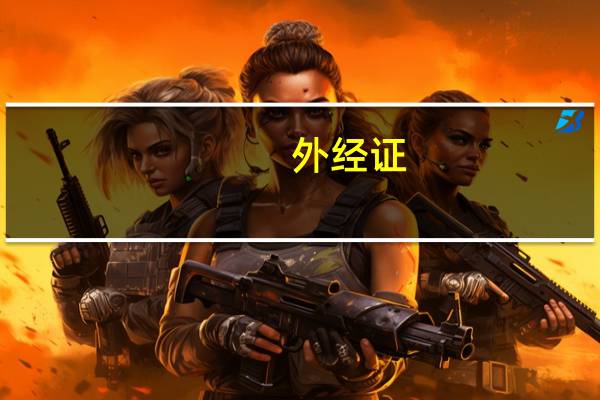 外经证 什么企业