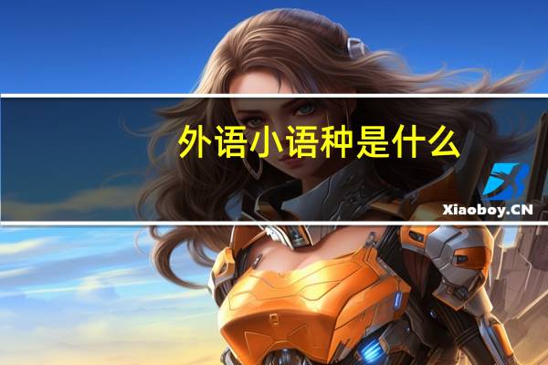 外语小语种是什么