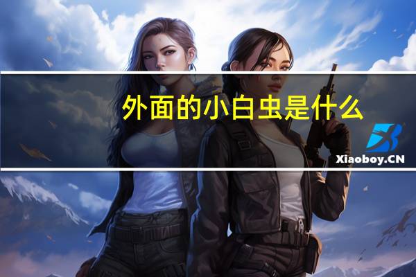 外面的小白虫是什么