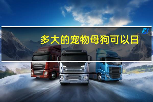多大的宠物母狗可以日
