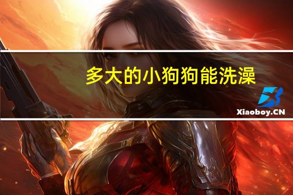 多大的小狗狗能洗澡