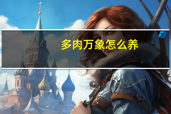 多肉万象怎么养