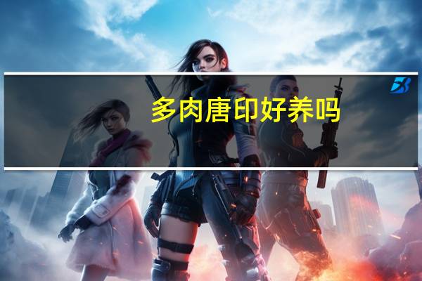 多肉唐印好养吗