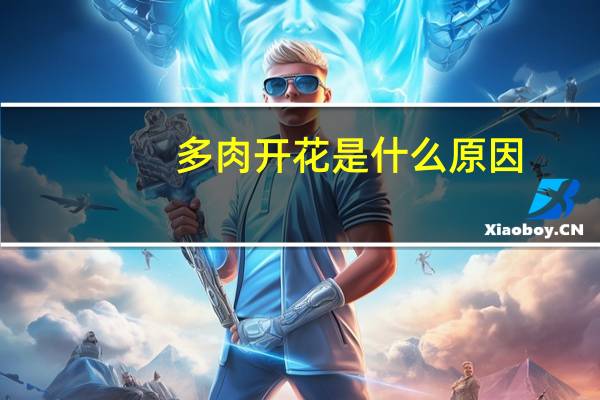 多肉开花是什么原因