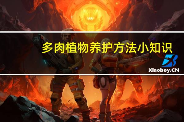 多肉植物养护方法小知识