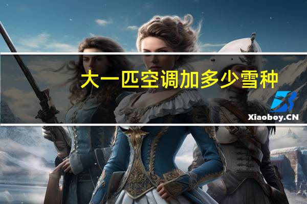 大一匹空调加多少雪种