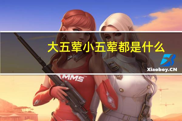 大五荤小五荤都是什么