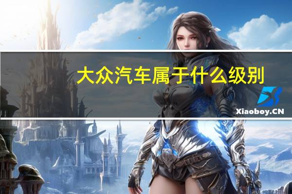 大众汽车属于什么级别