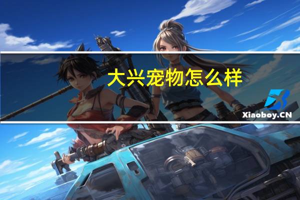 大兴宠物怎么样