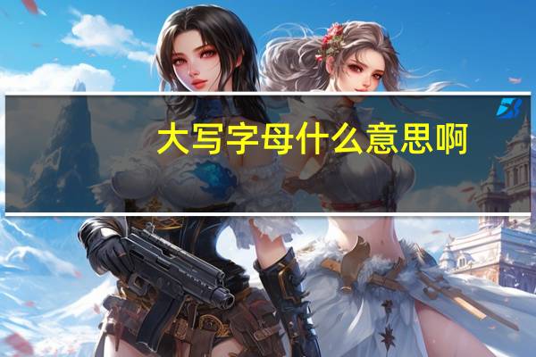 大写字母什么意思啊