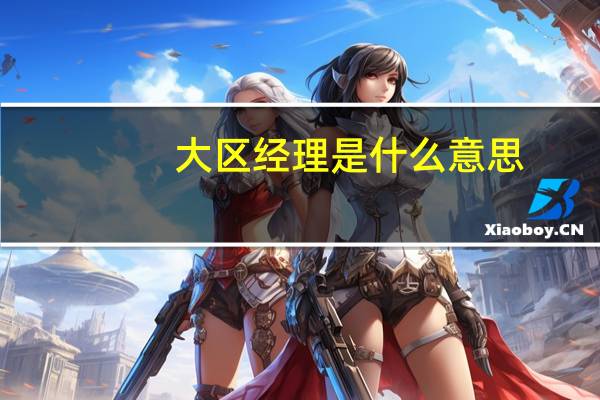 大区经理是什么意思