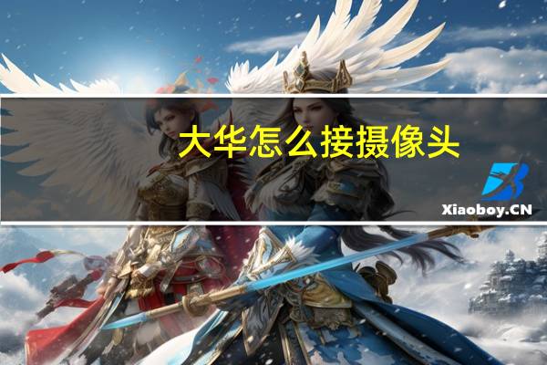 大华怎么接摄像头